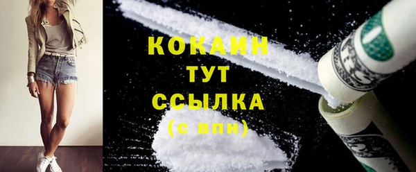соль ск Алзамай