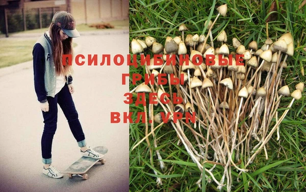 ALPHA-PVP Алексин