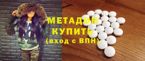 индика Абаза