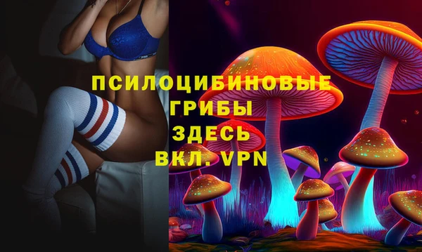 индика Алексеевка
